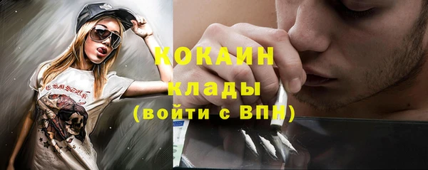 прущие грибы Бронницы