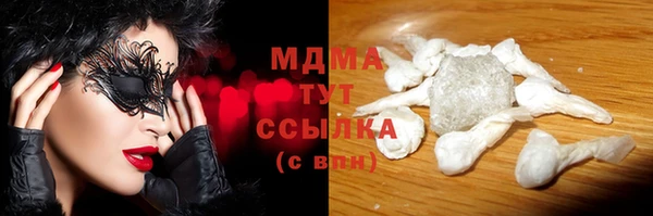 прущие грибы Бронницы