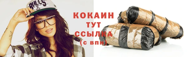 первитин Богданович