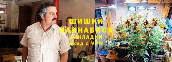 прущие грибы Бронницы